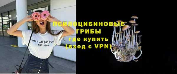 твердый Алзамай