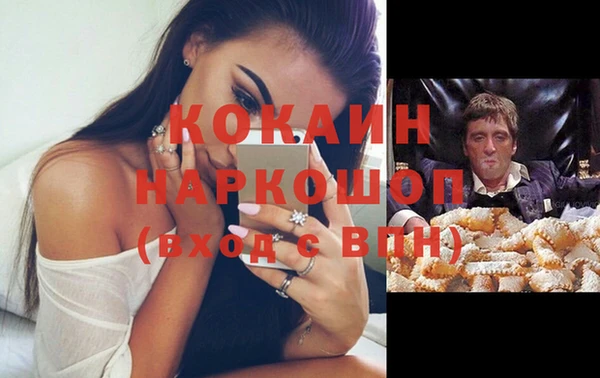 твердый Алзамай