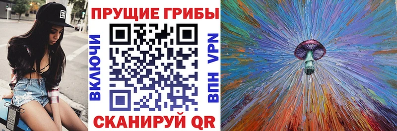 Галлюциногенные грибы MAGIC MUSHROOMS  купить   площадка Telegram  Сасово 